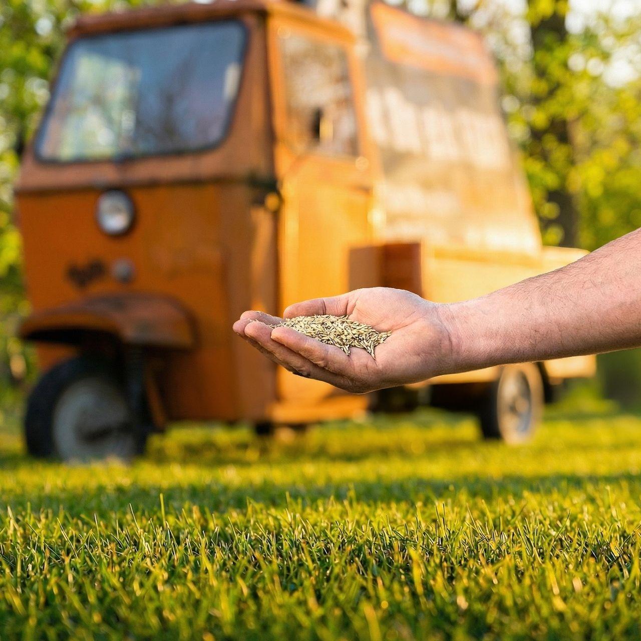 Nasiona trawnika FUXTEC FX-RSSP5 5kg do zabawy i na murawe sportowa