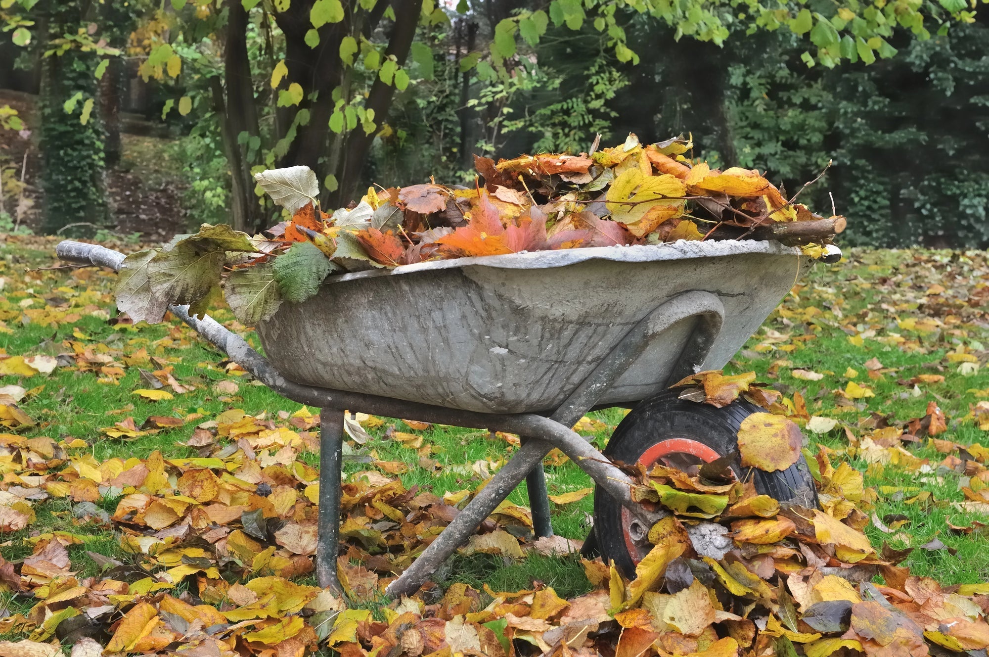 Garten im Herbst