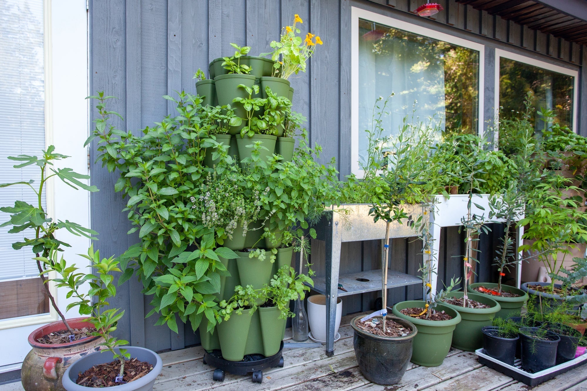 Urban Gardening Ideen: Gemeinschaftsgärten als grüne Oasen in der Stadt
