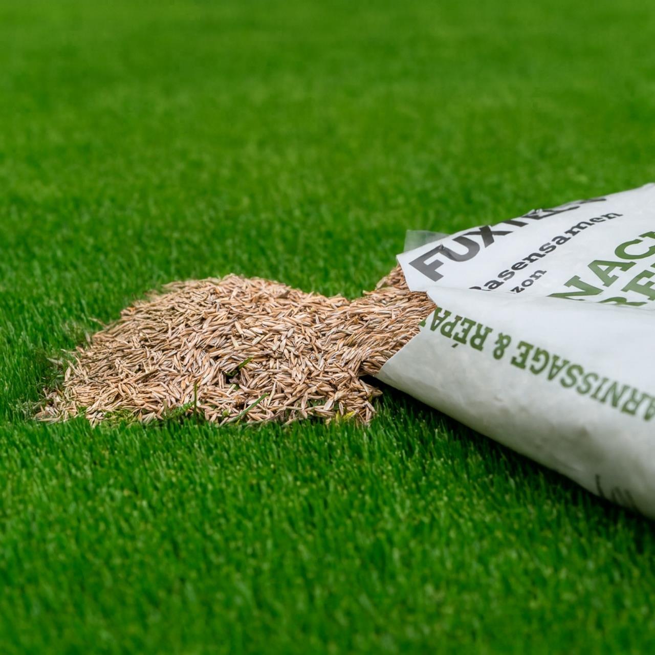 Nasiona trawników FUXTEC FX-RSNR1 do podsiewu i naprawy