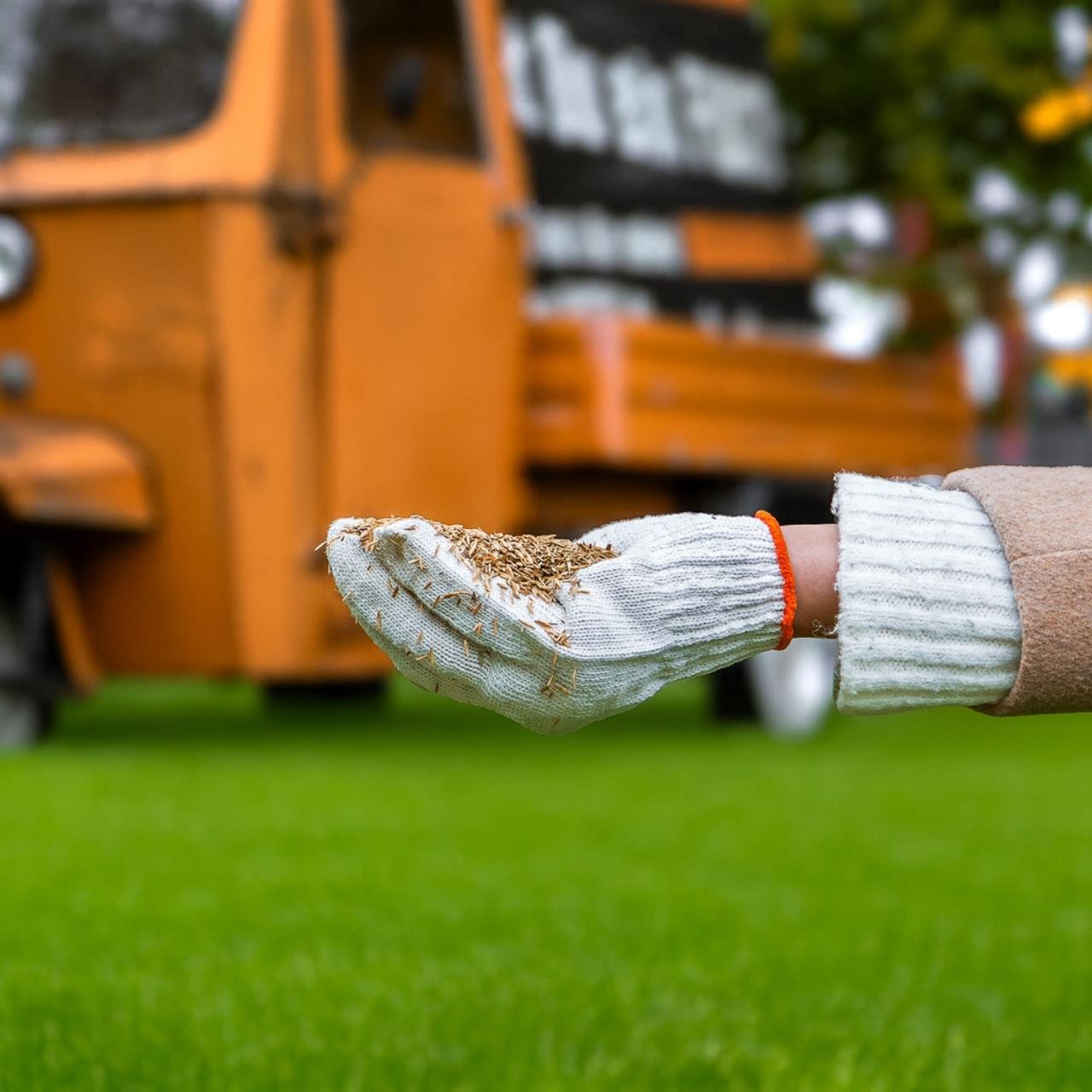 Nasiona trawników FUXTEC FX-RSNR1 do podsiewu i naprawy