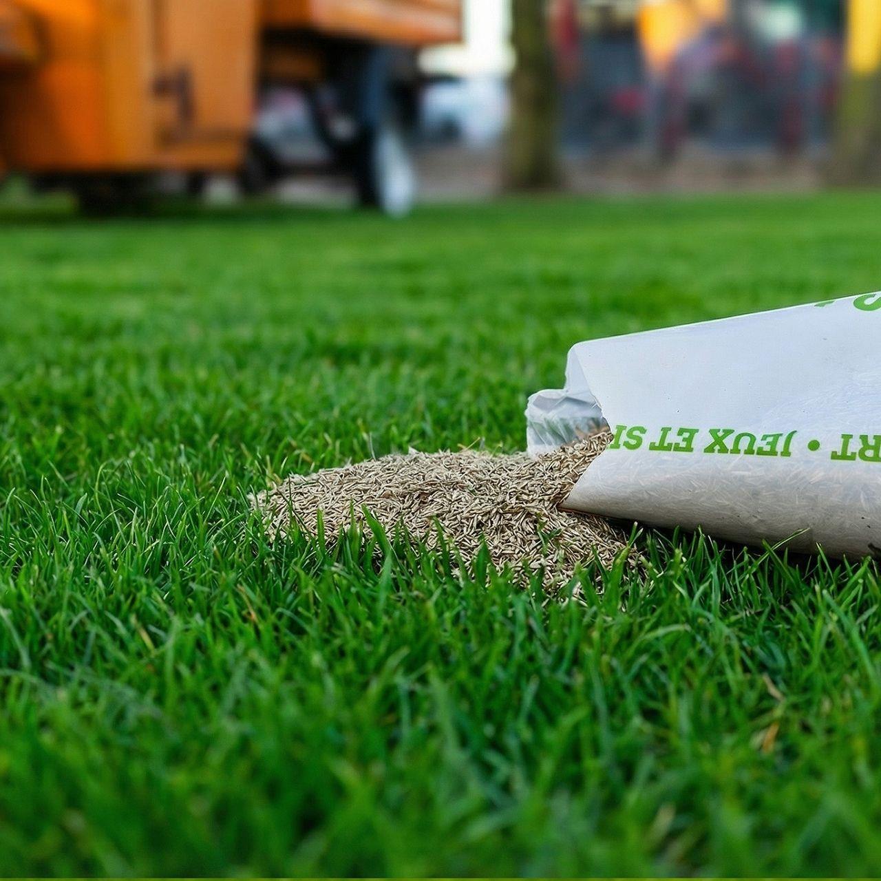 Nasiona trawnika FUXTEC FX-RSSP5 5kg do zabawy i na murawe sportowa